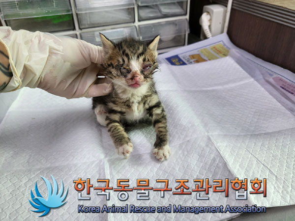 종료(자연사) 한국…